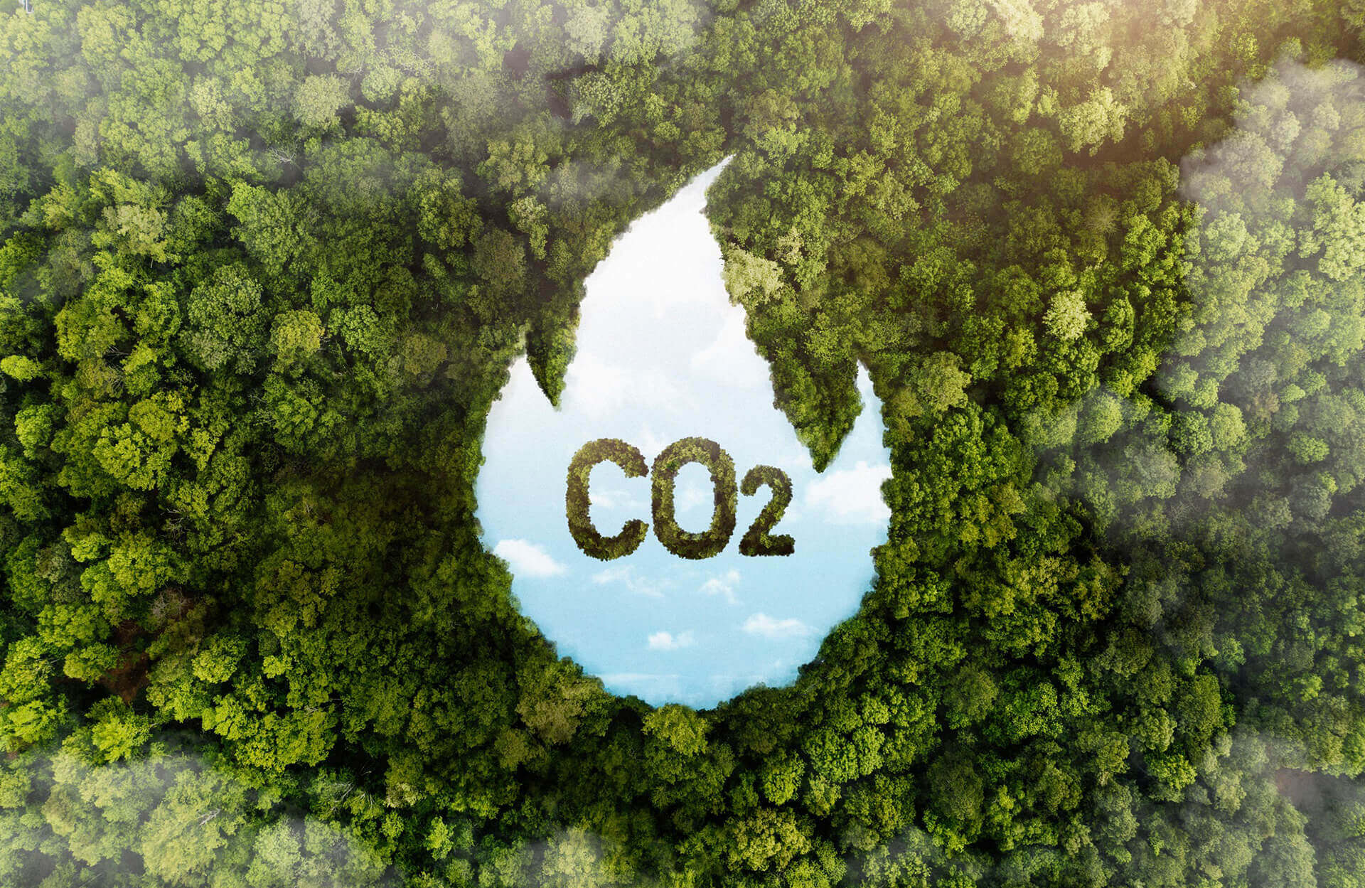 Carbon Emissions Reduction | NCO