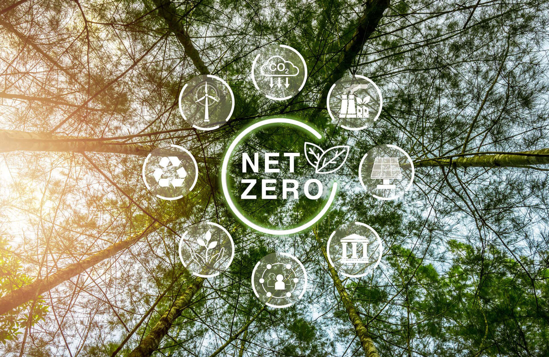 Leading The Way to Net Zero | NCO